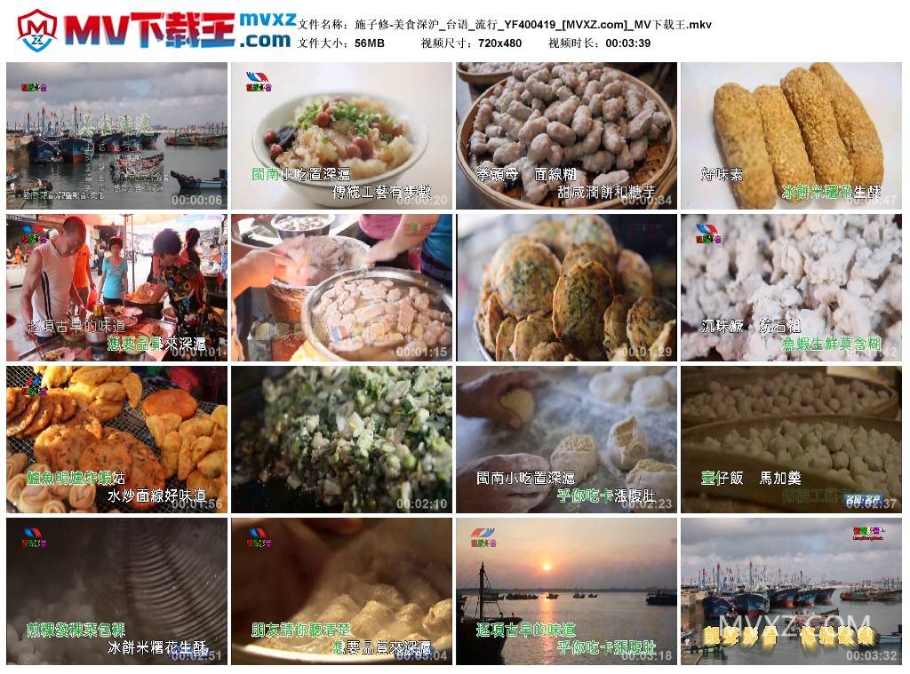 施子修-美食深沪_台语_流行_YF400419
